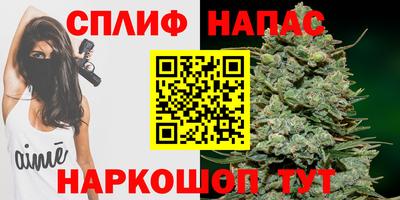 прущие крисы Будённовск