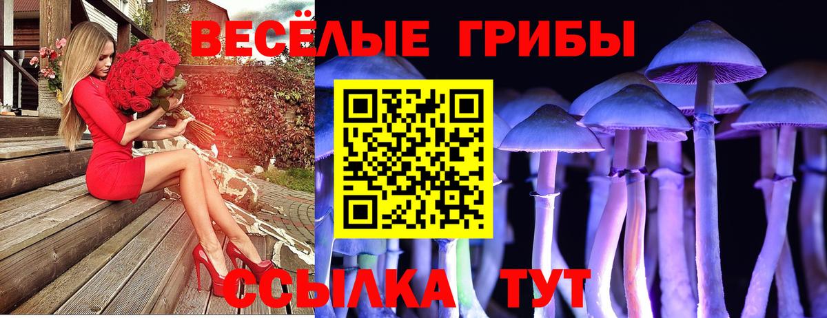 Карасук  Галлюциногенные грибы Psilocybe  Псилоцибиновые грибы ЛСД  Вход с VPN 