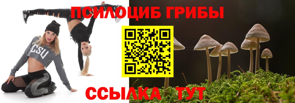 Псилоцибиновые грибы MAGIC MUSHROOMS Карасук